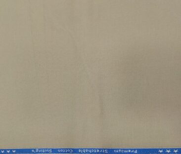 Arvind Men's Cotton Solids 1.30 Meter Unstitched Trouser Fabric (Mouse)
