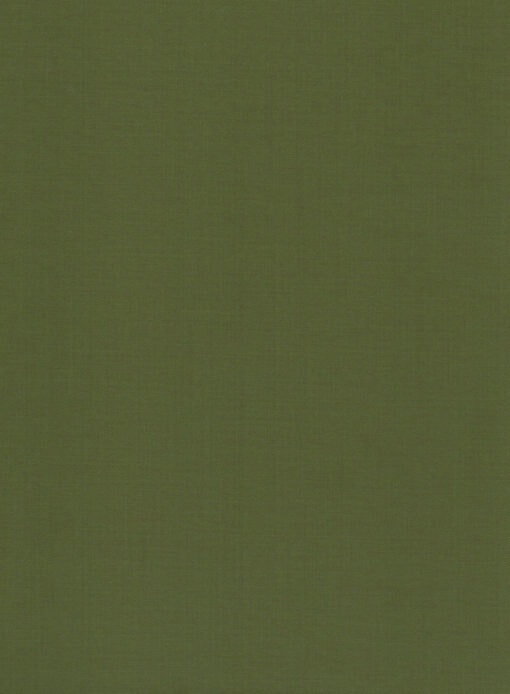 Absoluto Men's Terry Rayon Solids 3.75 Meter Unstitched Suiting Fabric (Olive Green)