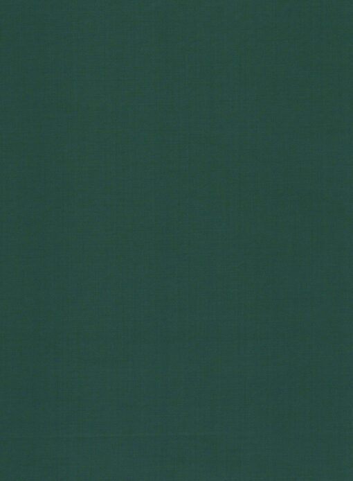 Absoluto Men's Terry Rayon Solids 3.75 Meter Unstitched Suiting Fabric (Dark Sea Green)