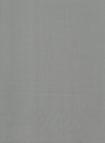 Absoluto Men's Terry Rayon Solids 3.75 Meter Unstitched Suiting Fabric (Storm Grey)