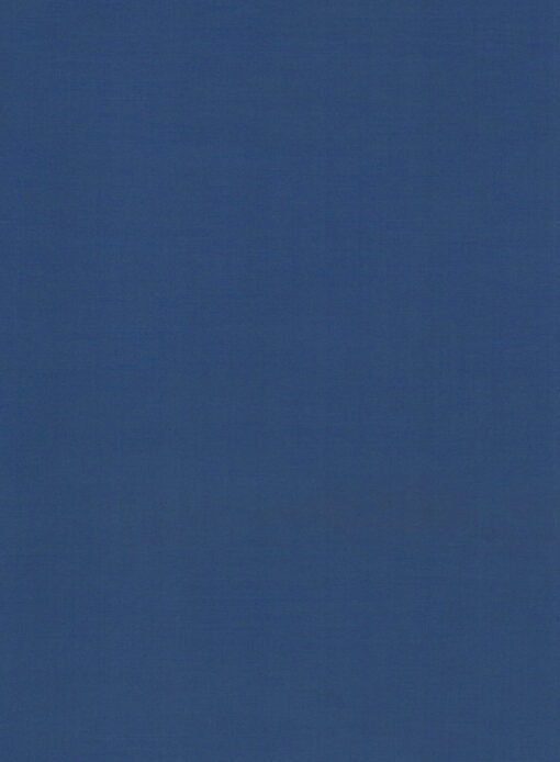 Don & Julio Men's Terry Rayon Solids 3.75 Meter Unstitched Suiting Fabric (Classic Blue)